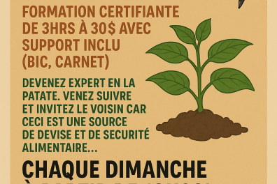 services_propositions_d_affaires BUKOGROUPE SARL  