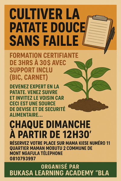 Devenez expert en patate douce 