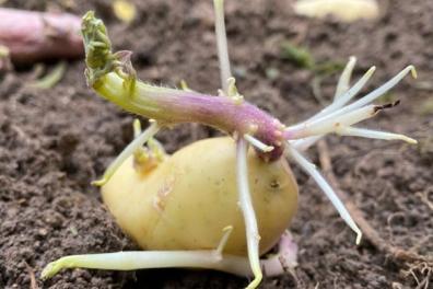 evenements_formations_conferences_eglises Douceur  