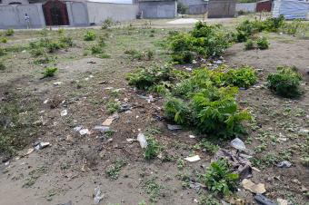  Terrains  vendre  Quartier Flix Tshisekedi Nsele