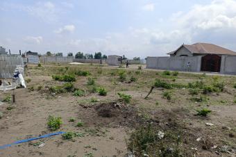  Terrains  vendre  Quartier Flix Tshisekedi Nsele