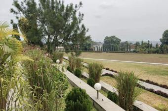 Hectare Mbinza