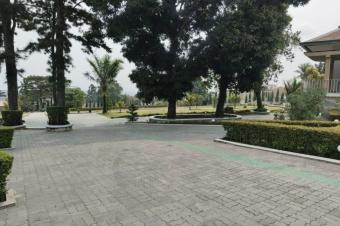 Hectare Mbinza
