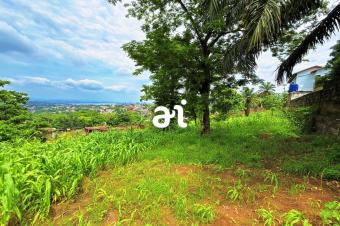 A VENDRE 10 TERRAINS DEXCEPTION AVEC VUE IMPRENABLE SUR LE FLEUVE CONGO  NGALIEMA