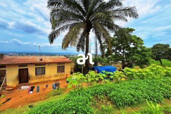 A VENDRE 10 TERRAINS DEXCEPTION AVEC VUE IMPRENABLE SUR LE FLEUVE CONGO  NGALIEMA