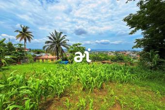 A VENDRE 10 TERRAINS DEXCEPTION AVEC VUE IMPRENABLE SUR LE FLEUVE CONGO  NGALIEMA