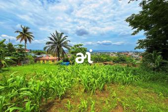 A VENDRE 10 TERRAINS DEXCEPTION AVEC VUE IMPRENABLE SUR LE FLEUVE CONGO  NGALIEMA