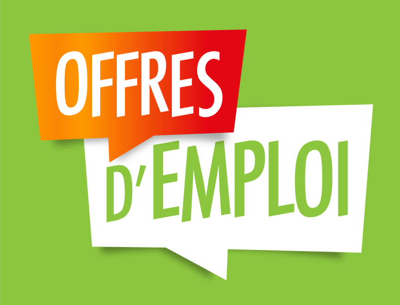 Opportunit demploi  travers une formation pratique