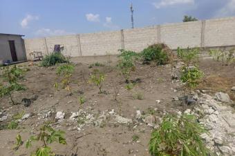 PARCELLE COMMERCIALE CLTURE  VENDRE  BOULEVARD LUMUMBA  NSELE