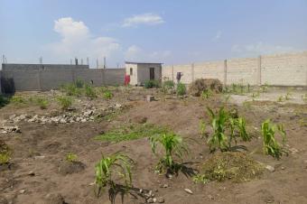 PARCELLE COMMERCIALE CLTURE  VENDRE  BOULEVARD LUMUMBA  NSELE