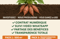 INVESTIR AVEC NOUS  services_propositions_d_affaires