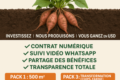 services_propositions_d_affaires BUKOGROUPE SARL  