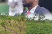 Spoliation présumée du site agricole du DAIPN : Champlin Ikulu  lance un cri d’alarme divers