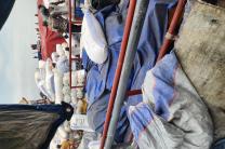 Vente mais 100% naturel vivres_frais_et_alimentation