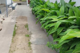 Parcelle  Macampagne 185 sur 25m 275.000