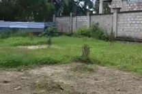 Terrain à GB (Mino Congo), 20 sur 25m, 600.000$ immobilier_vente_location