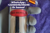 MERCURE ROUGE  services_propositions_d_affaires