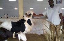 “Je suis venu dans le monde pour rendre témoignage à la vérité. Quiconque est de la vérité écoute Ma voix.” Jean 18. 37 mediacongo