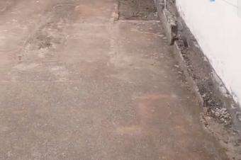 Parcelle rsidentielle ou locative  Camp PM NSELE