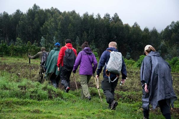 La gloire de Dieu cest de cacher les choses  la gloire des rois cest de dcouvrir les choses. Proverbes 25.2