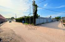 NOUS VOUS PROPOSONS DES PARCELLES DE 300 M² ET 400 M², BÉNÉFICIANT D’UN EMPLACEMENT EXCEPTIONNEL SUR DES AVENUES BÉTONNÉES mediacongo