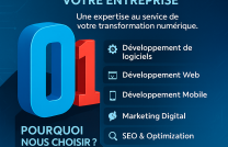 Solutions IT Complètes pour Entreprises et Organisations mediacongo
