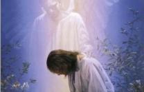 “Un ange du Dieu à qui j’appartiens… s’est approché de moi cette nuit et m’a dit : Sois sans crainte, Paul…” Actes 27. 23 mediacongo