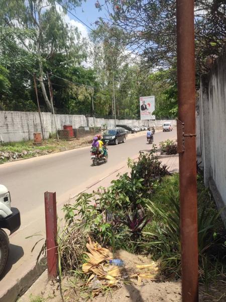 Parcelle sur des curies  Ngaliema 12 sur 33m 350.000