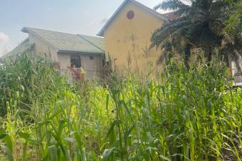 Grand terrain avec maison habitable  vendre  macampagne 