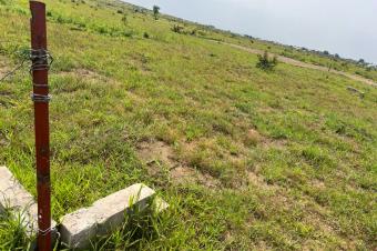 Terrain  vendre  NSele Quartier Plaza