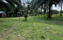 Concession à Limete, 4 hectares, 16.000.000$ mediacongo