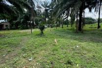 Concession à Limete, 4 hectares, 16.000.000$ immobilier_vente_location