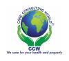 Care Consulting World