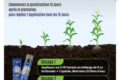 services_propositions_d_affaires BIA_4Tree  