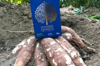 BIA4Tree RESTORATEUR DE NOS TERRES 