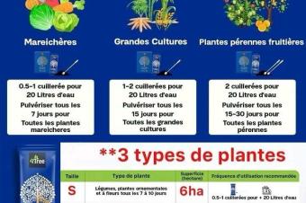 BIA4Tree RESTORATEUR DE NOS TERRES 