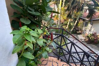 Parcelle  Joli Parc Ngaliema 12 sur 50m 600.000