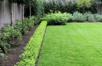 SERVICES D’ENTRETIEN & D’AMÉNAGEMENT PAYSAGER THE GREEN GIANT ENTERPRISE SARL / GROUPE GEANT VERT   : Entretien & soins des espaces verts mediacongo