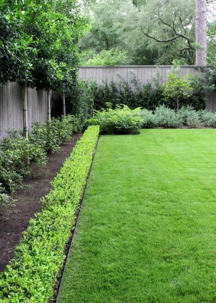 SERVICES DENTRETIEN  DAMNAGEMENT PAYSAGER THE GREEN GIANT ENTERPRISE SARL  GROUPE GEANT VERT    Entretien  soins des espaces verts