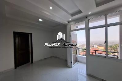 immobilier_vente_location Phoenix Agency  