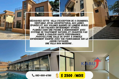 immobilier_vente_location Kabu palace RDC  