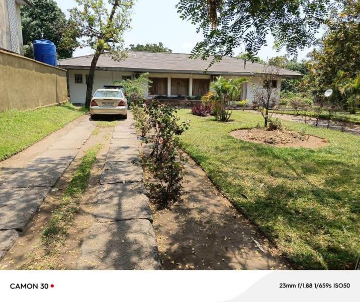 Morcellement  Mimoza 250.000