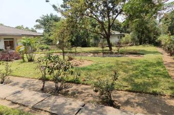 Morcellement  Mimoza 250.000