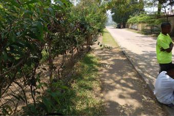 Morcellement  Mimoza 250.000