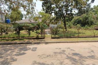 Morcellement  Mimoza 250.000