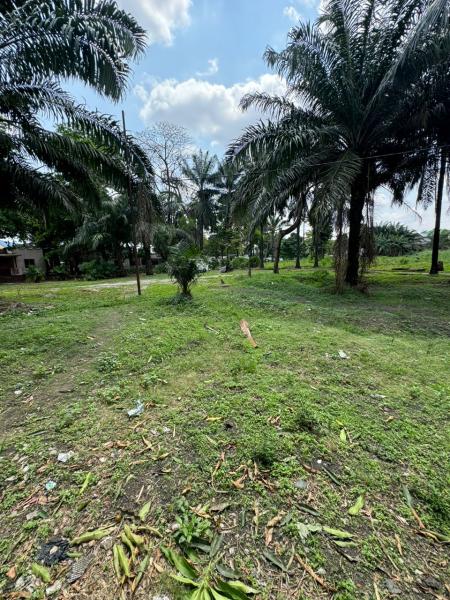 Concession  Limete 4 hectares 16.000.000