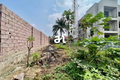 immobilier_vente_location AlainImmo  