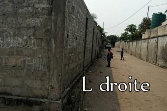 Concession  vendre  ct du mausole dEtienne Tshisekedi 