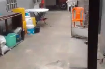 parcelle  NgiriNgiri 25 sur 20m 300.000