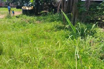 NGALIEMAUPN CABINE LUYEYE BONNE ACCESSIBILIT MISE EN VENTE DE PLUSIEURS TERRAINS DANS UNE PARCELLE AVEC DIFFRENTES DIMENSIONS.